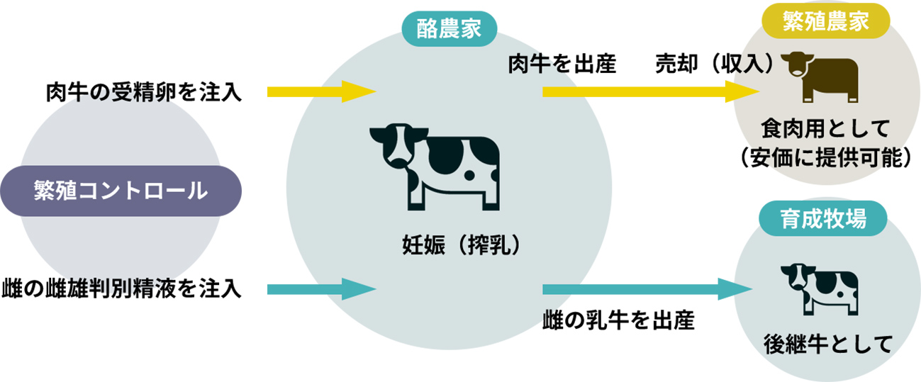 移植器を使用した場合の図