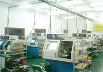 Dailan Plant