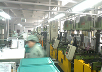 Dailan Plant