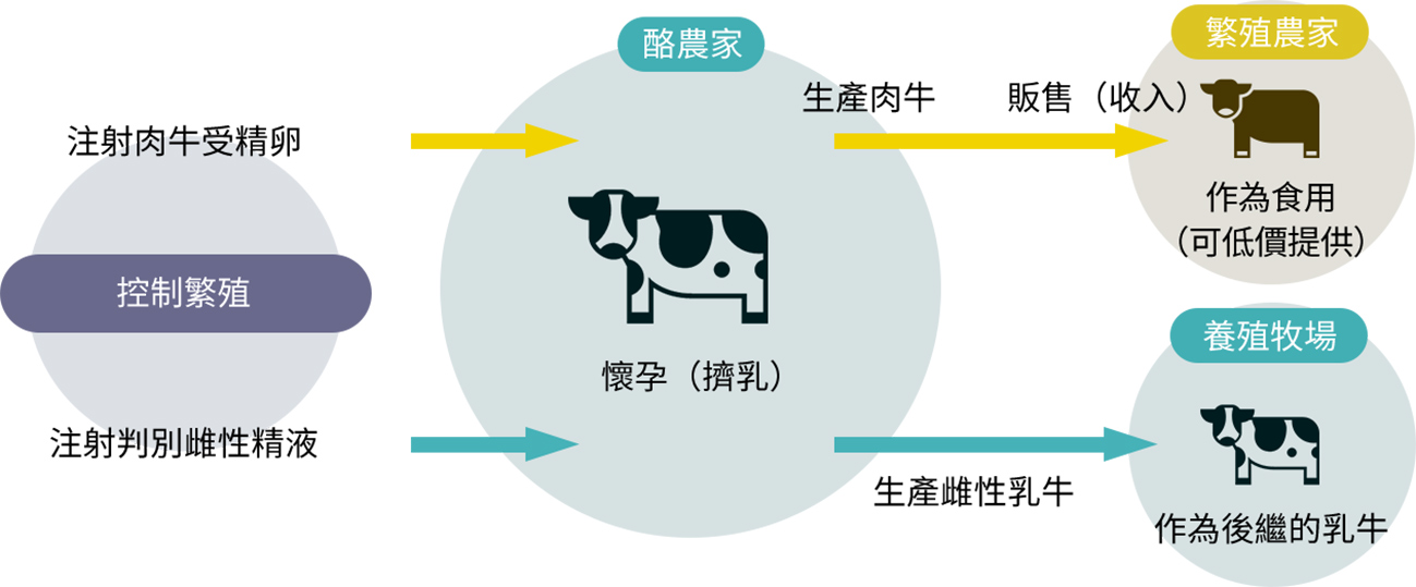 移植器を使用した場合の図